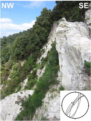Multidisciplinary analysis of 3D seismotectonic modelling: a case study of Serre and Cittanova faults in the southern Calabrian Arc (Italy)